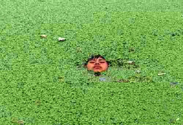 duckweed-lake-pond-control-aquatic-weed25.jpg